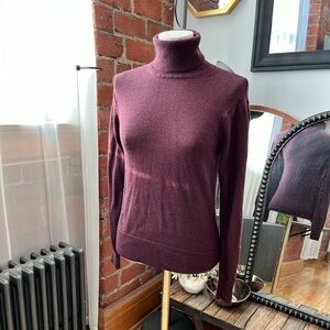 Aritzia Babaton Burgundy Turtle Neck